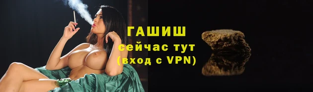эйфоретик Арсеньев