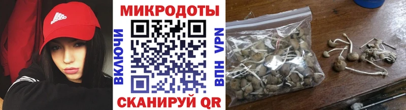 мега как зайти даркнет сайт Карабаново Галлюциногенные грибы мухоморы